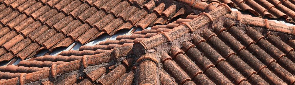 How to Get Rid of Black Streaks on a Roof: A Complete Guide
