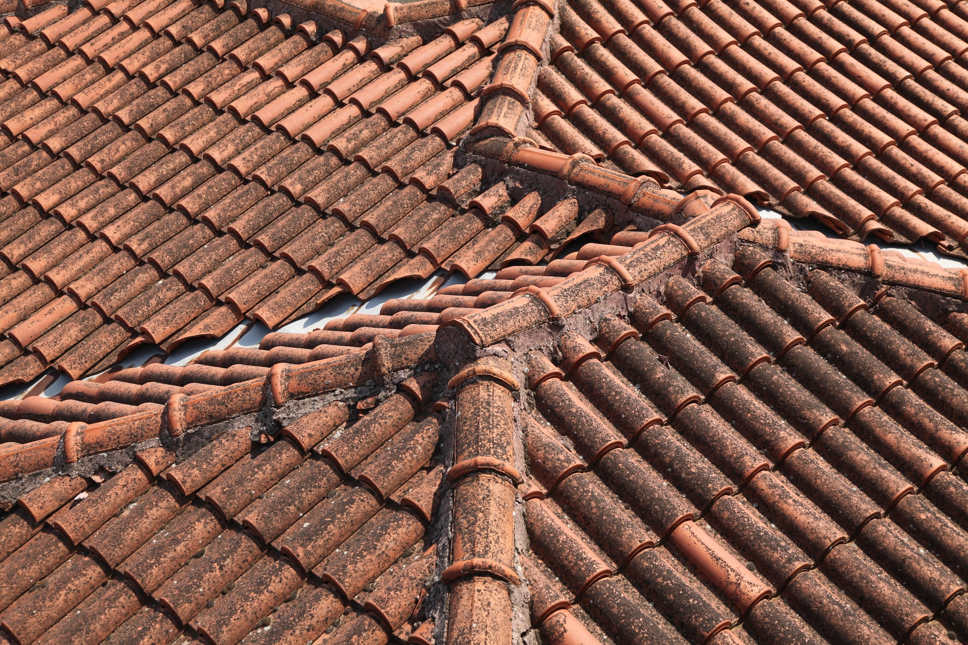 How to Get Rid of Black Streaks on a Roof: A Complete Guide